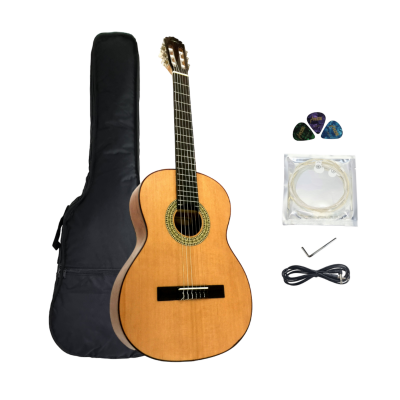 Caraya P 301210 SEQ 37” Solid Spruce Top Acoustic Guitar w/EQ +10mm Padded  Bag, String Set - HillSound