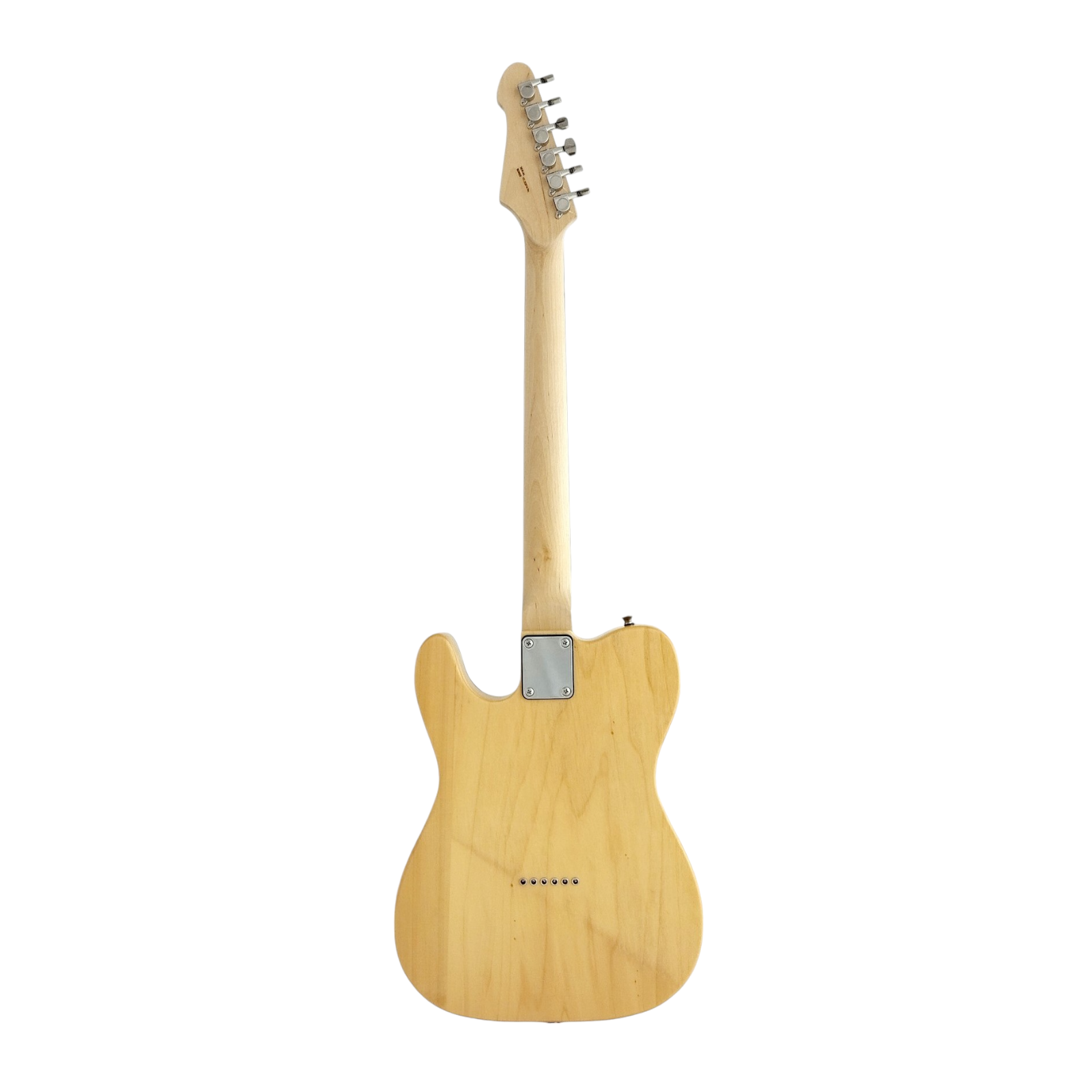 Haze HSTL 19100FNA Thru Solid Body Electric Guitar,S-S,Ash Burl Top+Free  Gig Bag - HillSound